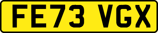 FE73VGX