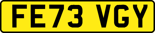 FE73VGY