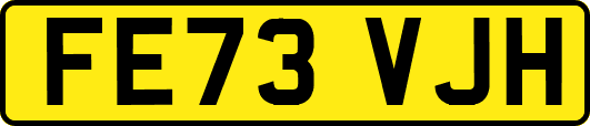 FE73VJH
