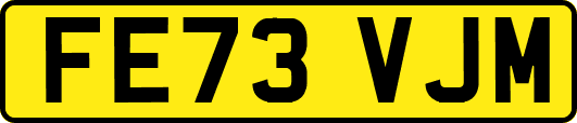 FE73VJM