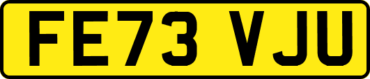 FE73VJU