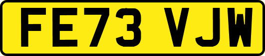 FE73VJW