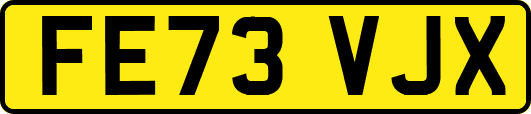 FE73VJX