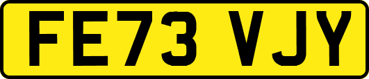 FE73VJY