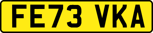 FE73VKA