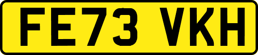 FE73VKH