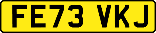 FE73VKJ
