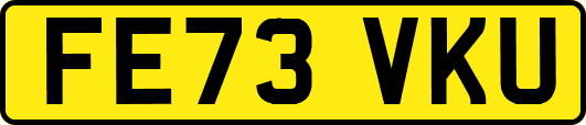 FE73VKU
