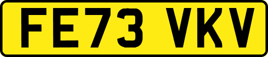 FE73VKV