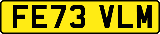 FE73VLM