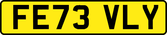 FE73VLY