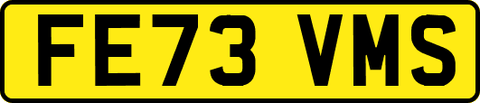 FE73VMS