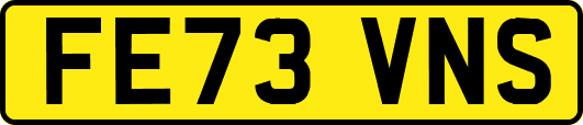 FE73VNS