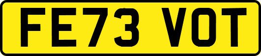 FE73VOT