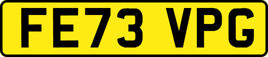 FE73VPG