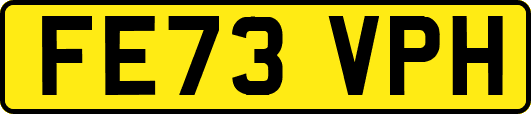FE73VPH