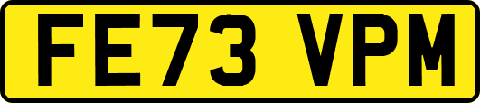 FE73VPM