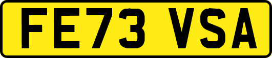 FE73VSA