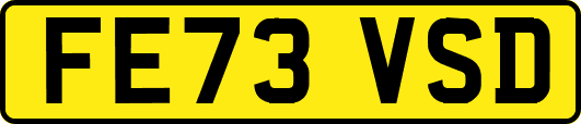 FE73VSD