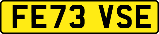 FE73VSE