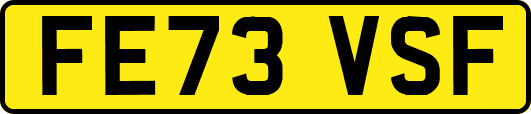FE73VSF