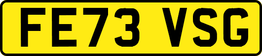 FE73VSG