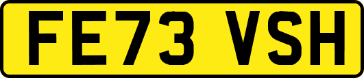 FE73VSH