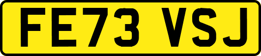 FE73VSJ