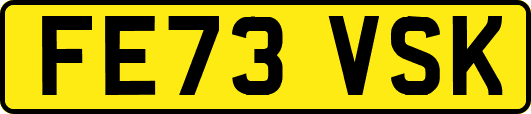 FE73VSK