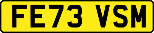 FE73VSM