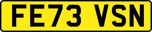 FE73VSN