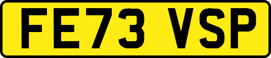 FE73VSP
