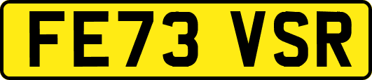 FE73VSR