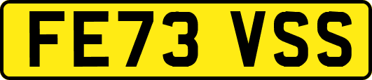 FE73VSS