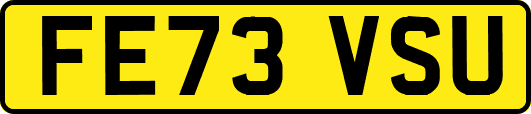 FE73VSU