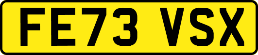 FE73VSX