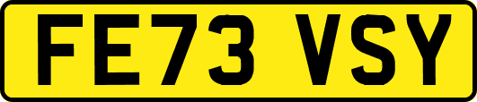 FE73VSY