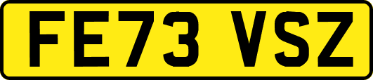 FE73VSZ
