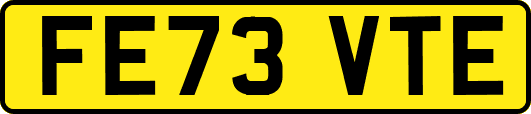 FE73VTE