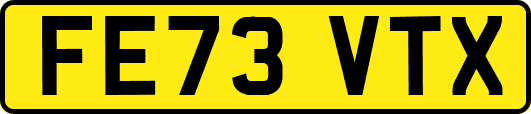 FE73VTX