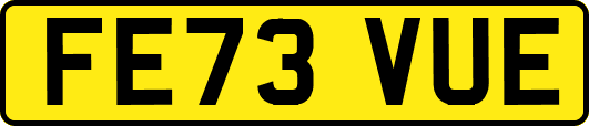 FE73VUE