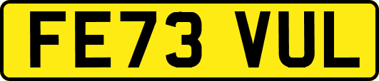 FE73VUL