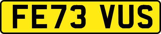 FE73VUS