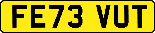 FE73VUT