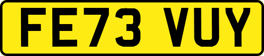 FE73VUY