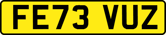 FE73VUZ