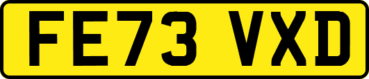 FE73VXD