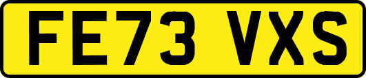 FE73VXS