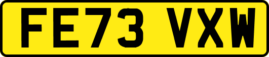 FE73VXW