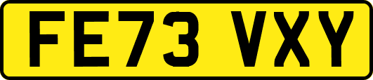 FE73VXY